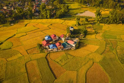 Bình yên mùa vàng nơi lòng chảo Mường Thanh, Điện Biên