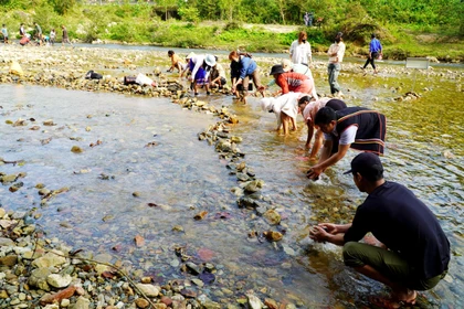 Đắp chăn 'săn' cá suối: Nghi thức tâm linh đặc biệt của đồng bào Co