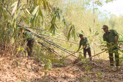 'Căng mình' phòng chống cháy rừng cao điểm mùa khô
