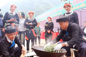 Giữ lửa Shan tuyết, mở đường du lịch Cao Bồ