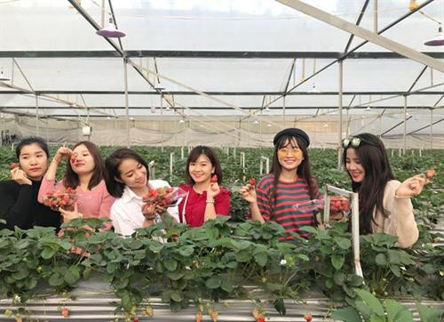 Sức trẻ góp phần thay đổi nông thôn vùng cao Lào Cai