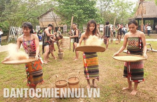 Tái hiện Lễ hội mừng lúa mới của đồng bào S'tiêng