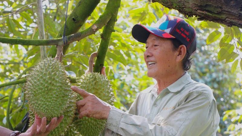 Câu lạc bộ nông dân tỷ phú - hạt nhân tri thức hóa nông nghiệp Hậu Giang