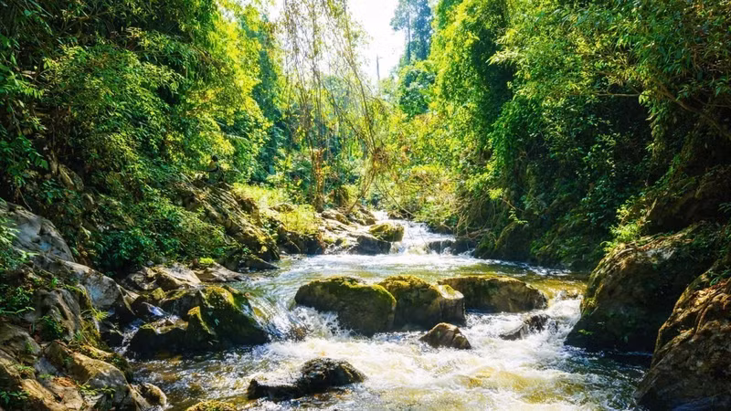 Xuyên vùng lõi đại ngàn Pù Huống vào thượng nguồn Khe Cố