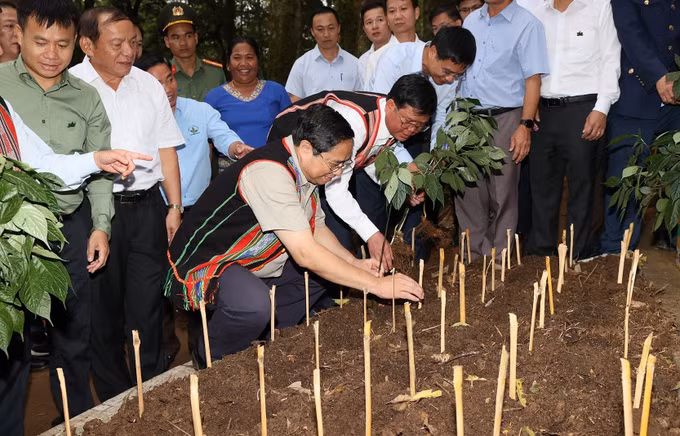 Thủ tướng Phạm Minh Chính khảo sát, kiểm tra các cơ sở, dự án kinh tế - xã hội tại tỉnh Kon Tum ảnh 3