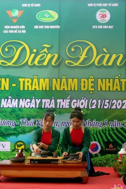 Định hướng phát triển du lịch, định vị thương hiệu 'Đệ Nhất danh Trà'