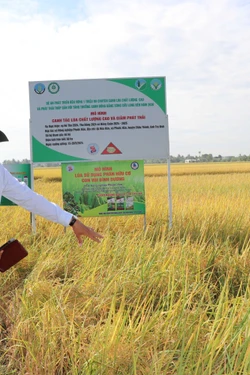 Trà Vinh ứng dụng công nghệ 4.0 trong sản xuất nông nghiệp