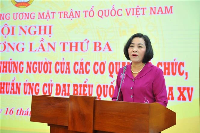 Đồng chí Nguyễn Thị Thanh, Ủy viên Trung ương Đảng, Ủy viên Ủy ban Thường vụ Quốc hội, Trưởng Ban Công tác đại biểu Quốc hội, Phó Trưởng Tổ chức Trung ương phát biểu tại hội nghị. Ảnh: Minh Đức - TTXVN