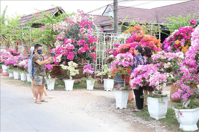 Du khách tham quan, chụp ảnh tại "Vương quốc hoa kiểng" Chợ lách. Ảnh: Huỳnh Phúc Hậu - TTXVN