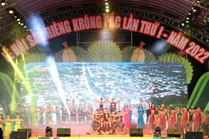 Đắk Lắk: Nâng tầm sầu riêng huyện Krông Pắc