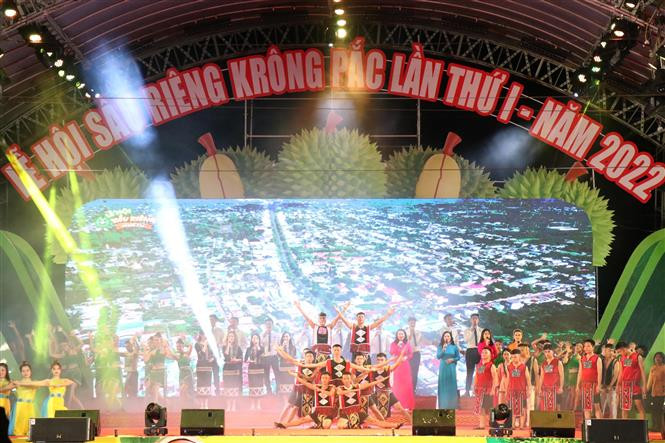 Đắk Lắk: Nâng tầm sầu riêng huyện Krông Pắc