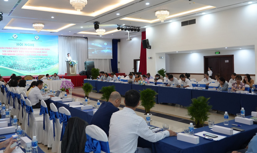 Tìm giải pháp giảm thiểu nguy cơ tác động ngành hàng sắn
