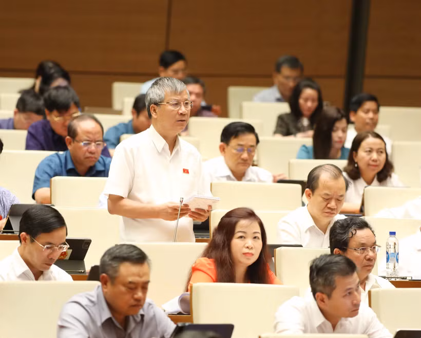 Đại biểu Quốc hội tỉnh An Giang Nguyễn Lân Hiếu phát biểu tại phiên họp. Ảnh: Phương Hoa - TTXVN