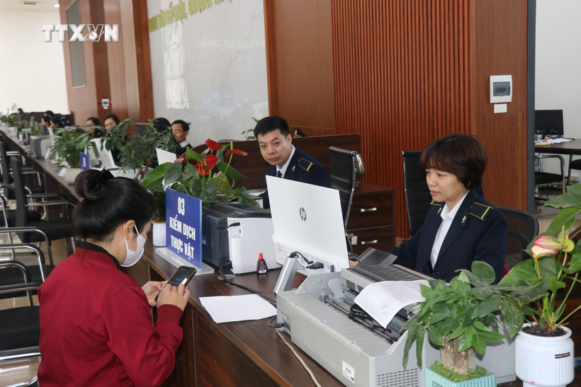 Lào Cai thu ngân sách Nhà nước tăng 41,5% so với dự toán Trung ương giao
