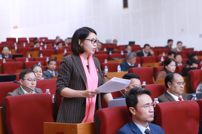 Đại biểu Trang Phương Thảo phát biểu chất vất tại kỳ họp. Ảnh: Quý Trung/TTXVN