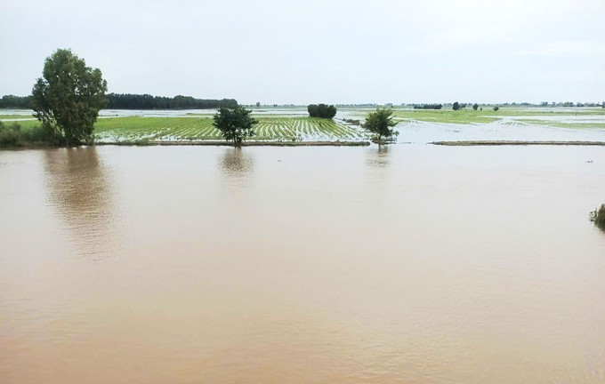 Việc vận hành mở xả lũ 2 cống Tha La, Trà Sư sẽ giúp điều tiết lũ cho vùng Tứ giác Long Xuyên. Việc vận hành mở xả lũ 2 cống Tha La, Trà Sư sẽ giúp điều tiết lũ cho vùng Tứ giác Long Xuyên.