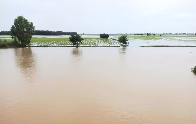 Việc vận hành mở xả lũ 2 cống Tha La, Trà Sư sẽ giúp điều tiết lũ cho vùng Tứ giác Long Xuyên.