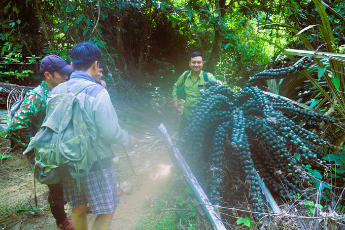 Giữa đại ngàn Khu bảo tồn thiên nhiên Pù Huống có nhiều loài thực vật có hình dáng lạ kỳ, bắt mắt. Ảnh: Xuân Tiến/TTXVN