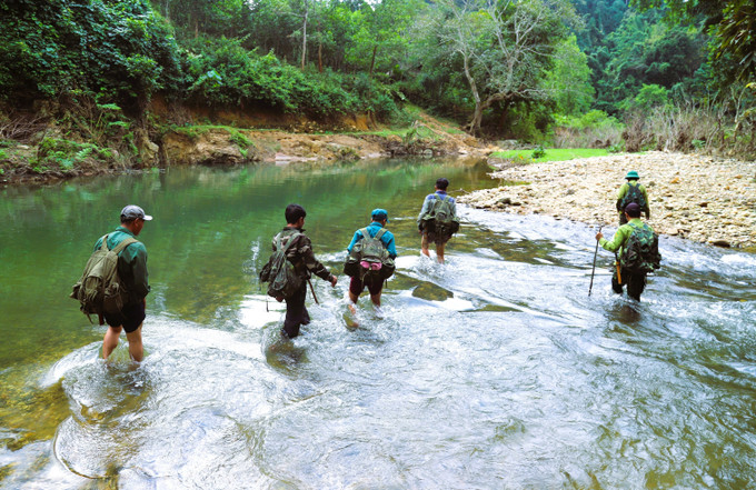 Lực lượng kiểm lâm các Trạm quản lý, bảo vệ rừng của Ban quản lý Khu bảo tồn thiên nhiên Pù Huống và người dân Tổ bảo vệ rừng của bản lội khe Cố (xã Bình Chuẩn, tỉnh Nghệ An) vào vùng lõi của khu dự trữ sinh quyển Pù Huống. Ảnh: Xuân Tiến/TTXVN