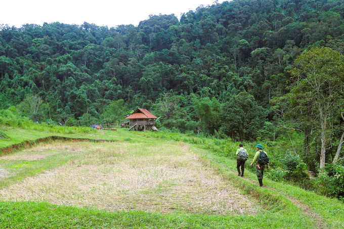 Hiện có hơn 120 bản làng, trong đó có đến hơn 90% là dân tộc Thái sinh sống ở các vùng đệm của Khu bảo tồn thiên nhiên Pù Huống. Ảnh: Xuân Tiến/TTXVN