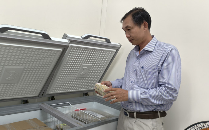 Thạc sĩ Lê Thanh Phong kiểm tra “bộ sưu tập” hơn 180 dòng lúa mùa nổi được lưu giữ, phục vụ công tác nghiên cứu, bảo tồn.