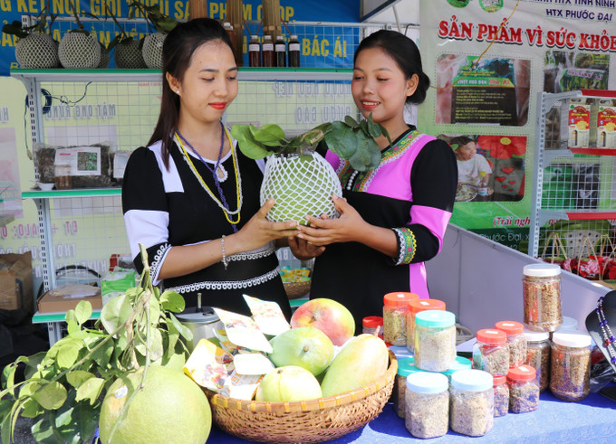 Gian hàng trưng bày sản phẩm OCOP, sản phẩm đặc thù tại Lễ hội. Gian hàng trưng bày sản phẩm OCOP, sản phẩm đặc thù tại Lễ hội.