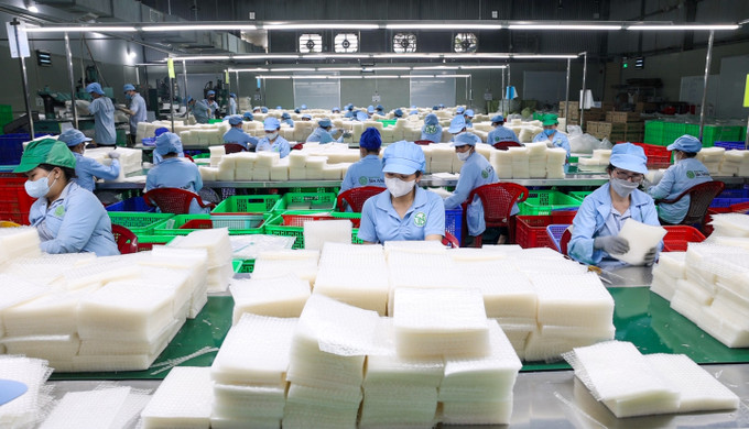 Công nhân phân loại bánh tráng siêu mỏng Tân Nhiên, sản phẩm OCOP 5 sao cấp quốc gia, đã xuất khẩu sang nhiều thị trường quốc tế như Nhật Bản, Hàn Quốc, Đài Loan. Công nhân phân loại bánh tráng siêu mỏng Tân Nhiên, sản phẩm OCOP 5 sao cấp quốc gia, đã xuất khẩu sang nhiều thị trường quốc tế như Nhật Bản, Hàn Quốc, Đài Loan.