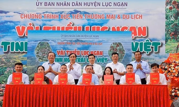 vai-thieu-1.jpg