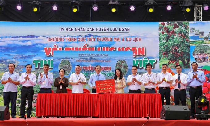 Lễ ký kết hợp tác tiêu thụ vải thiều. Lễ ký kết hợp tác tiêu thụ vải thiều.