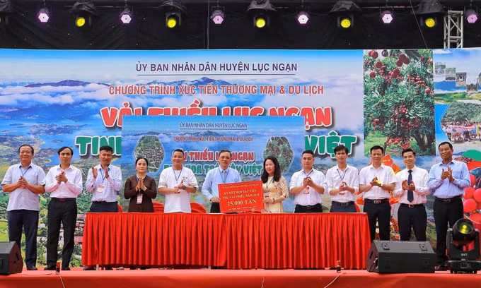 Lễ ký kết hợp tác tiêu thụ vải thiều.