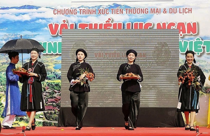 Tiết mục trình diễn trang phục vải thiều. Tiết mục trình diễn trang phục vải thiều.