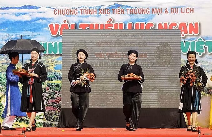 Tiết mục trình diễn trang phục vải thiều.