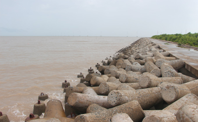 Công trình kè tại biển Gành Hào (Cà Mau). ca-mau-1.jpg