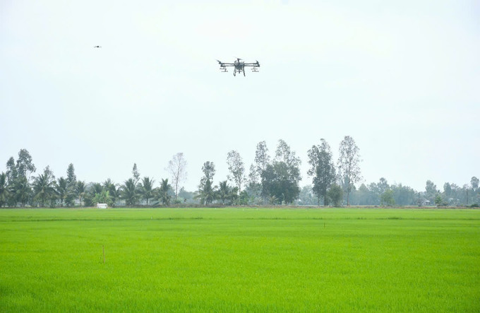 Sử dụng máy bay không người lái trong canh tác lúa giúp nông dân tiết kiệm giống, giảm lượng phân bón, thuốc hóa học, giảm chi phí sản xuất so với truyền thống từ 20 – 30%. Ảnh: TTXVN phát Sử dụng máy bay không người lái trong canh tác lúa giúp nông dân tiết kiệm giống, giảm lượng phân bón, thuốc hóa học, giảm chi phí sản xuất so với truyền thống từ 20 – 30%. Ảnh: TTXVN phát