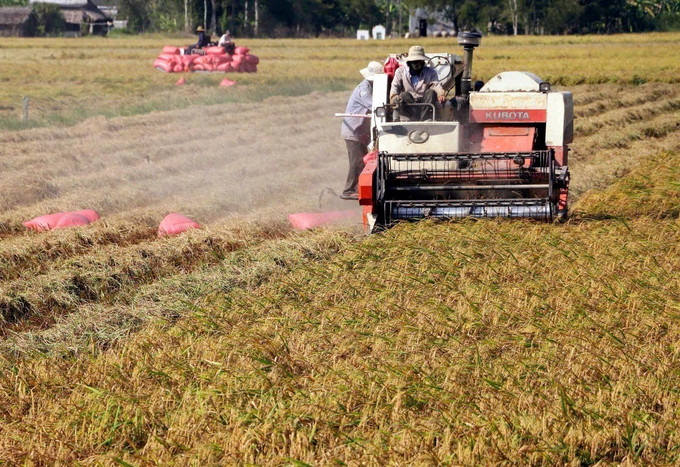 Nông dân sử dụng máy gặt đập liên hợp trong thu hoạch lúa. Ảnh: TTXVN phát. bac-lieu-3.jpg