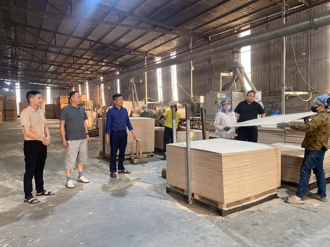Lãnh đạo Công ty Cổ phần Xây dựng và Thương mại Thái Hoàng (Cụm công nghiệp Nam Quang, xã Vĩnh Tuy) kiểm tra chất lượng ván ép trước khi xuất khẩu.