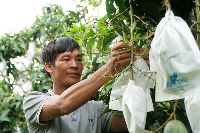 Đắk Gằn là vùng trồng xoài tập trung duy nhất của tỉnh Đắk Nông hiện nay với sản lượng mỗi năm hơn 15.000 tấn. Đắk Gằn là vùng trồng xoài tập trung duy nhất của tỉnh Đắk Nông hiện nay với sản lượng mỗi năm hơn 15.000 tấn.