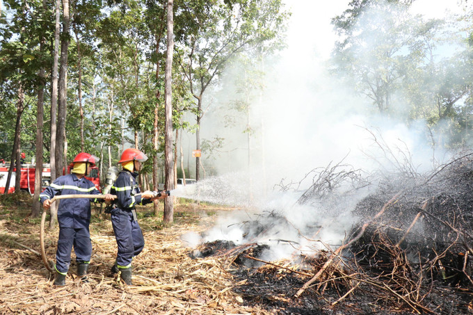Trong tình huống cháy rừng lớn, lực lượng Cảnh sát phòng cháy, chữa cháy được huy động để chữa cháy rừng.