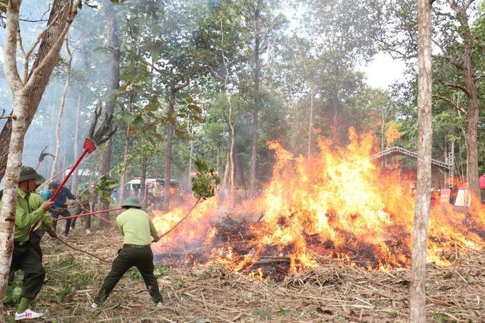 Đợt diễn tập với sự tham gia của lực lượng kiểm lâm, cảnh sát chữa cháy, chính quyền địa phương và người dân.