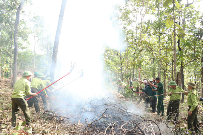 Trong tình huống cháy rừng nhỏ, đám cháy nhanh chóng được khống chế.