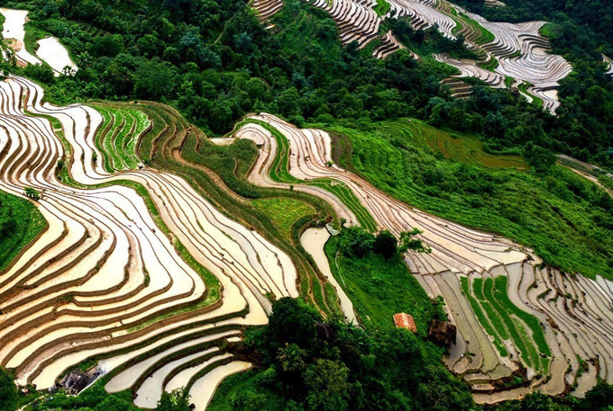 Mùa nước đổ ruộng bậc thang Khuổi My uốn lượn như tranh vẽ trên sườn núi Tây Côn Lĩnh. Ảnh: Đức Huỳnh/TTXVN phát Mùa nước đổ ruộng bậc thang Khuổi My uốn lượn như tranh vẽ trên sườn núi Tây Côn Lĩnh. Ảnh: Đức Huỳnh/TTXVN phát