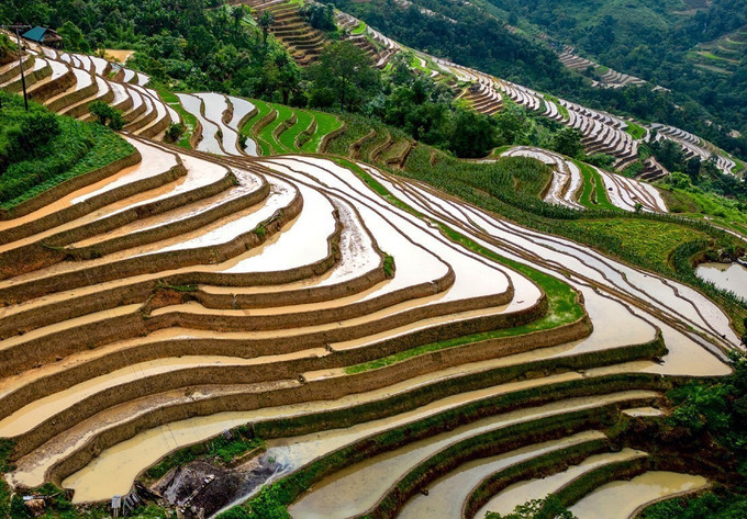 Mùa nước đổ ruộng bậc thang Khuổi My uốn lượn như tranh vẽ trên sườn núi Tây Côn Lĩnh. Ảnh: Đức Huỳnh/TTXVN phát khuoi-my-2.jpg
