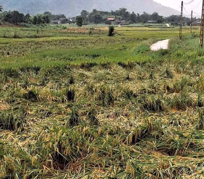 nghe-an-4.jpg
