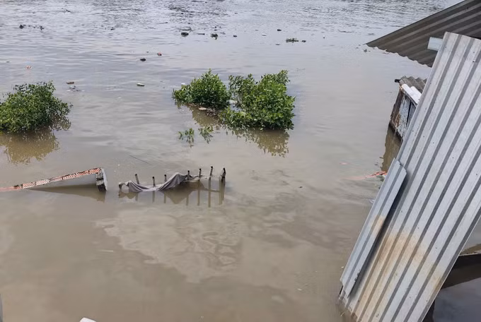 ca-mau-2.jpg