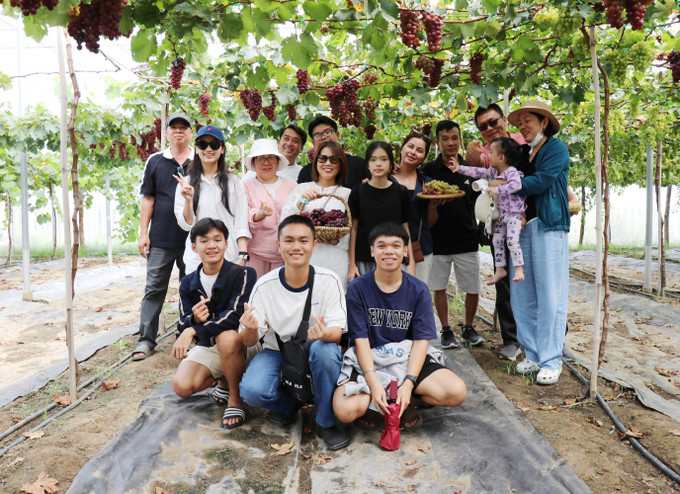 Du khách tham quan Trang trại nho Hoàng Yến (xã Ninh Phước, tỉnh Khánh Hòa). Du khách tham quan Trang trại nho Hoàng Yến (xã Ninh Phước, tỉnh Khánh Hòa).