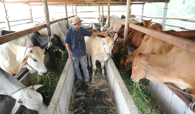 Nhờ được Đảng, Nhà nước quan tâm, hỗ trợ phát triển kinh tế, xóa đói giảm nghèo, nhiều hộ nông dân là người dân tộc Khmer ở xã An Cư, tỉnh An Giang đã từng bước thoát nghèo. Nhờ được Đảng, Nhà nước quan tâm, hỗ trợ phát triển kinh tế, xóa đói giảm nghèo, nhiều hộ nông dân là người dân tộc Khmer ở xã An Cư, tỉnh An Giang đã từng bước thoát nghèo.