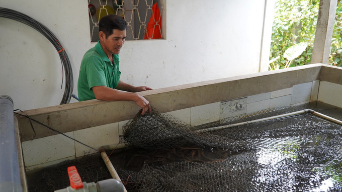 Nông dân Khmer sản xuất kinh doanh giỏi Danh Bạch tại xã Thủy Liễu (Gò Quao, Kiên Giang) nuôi lươn không bùn cho thu nhập hơn 300 triệu đồng/năm. Nông dân Khmer sản xuất kinh doanh giỏi Danh Bạch tại xã Thủy Liễu (Gò Quao, Kiên Giang) nuôi lươn không bùn cho thu nhập hơn 300 triệu đồng/năm.