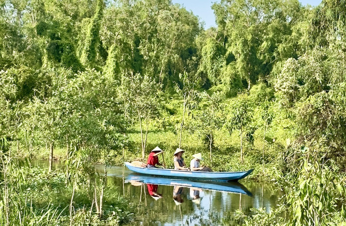 Khách du lịch quốc tế tham quan rừng tràm Trà Sư (thị xã Tịnh Biên, tỉnh An Giang). Ảnh: Thanh Sang/TTXVN Khách du lịch quốc tế tham quan rừng tràm Trà Sư (thị xã Tịnh Biên, tỉnh An Giang). Ảnh: Thanh Sang/TTXVN
