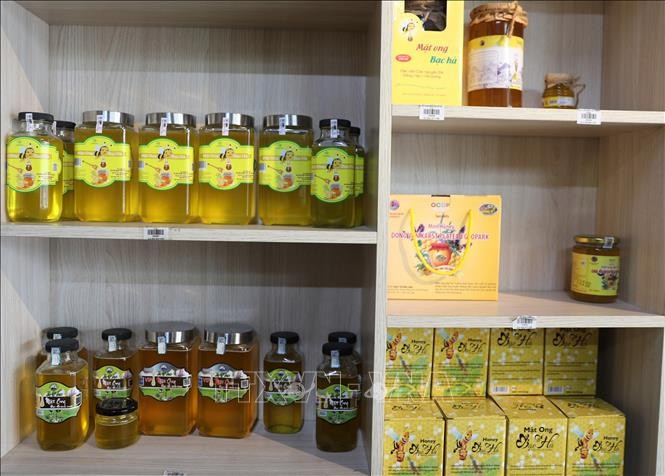 Mật ong Bạc Hà là sản phẩm OCOP chủ lực của Cao nguyên đá Đồng Văn (Hà Giang). Ảnh: Minh Tâm/TTXVN mat-ong-1.jpg