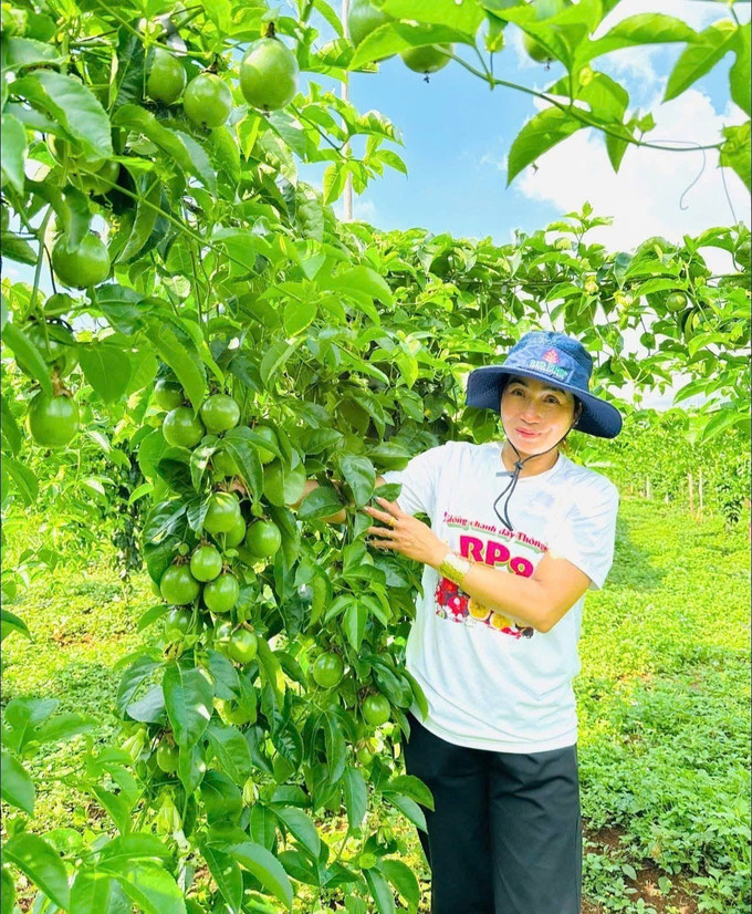 Giống chanh dây cho năng suất cao của Công ty cổ phần quốc tế Thông Đỏ (xã Chư Pứh, tỉnh Gia Lai). gia-lai-4.jpg